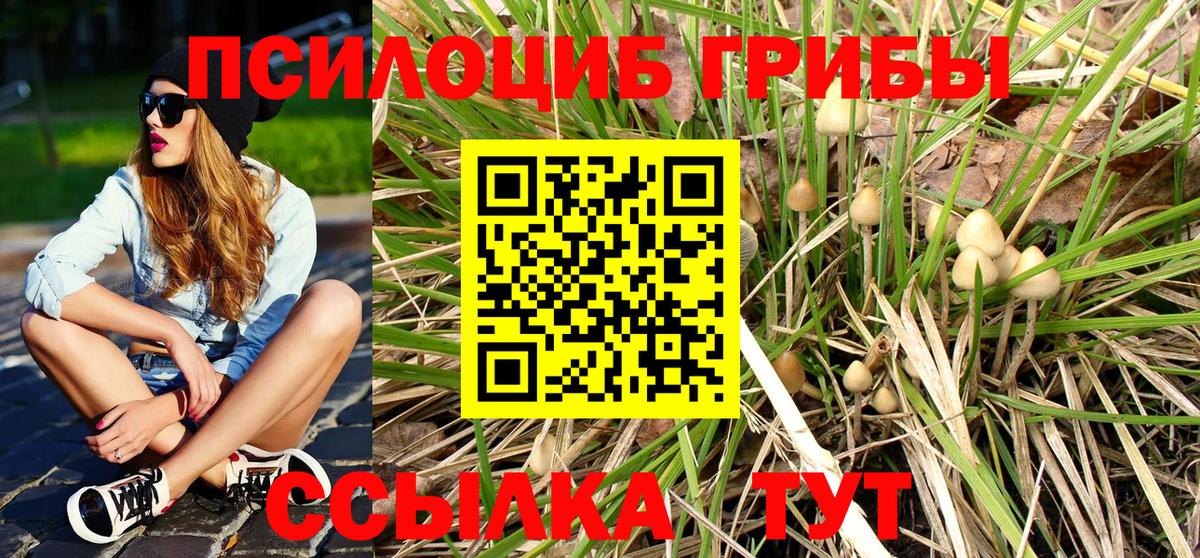 Галлюциногенные грибы прущие грибы Лысьва