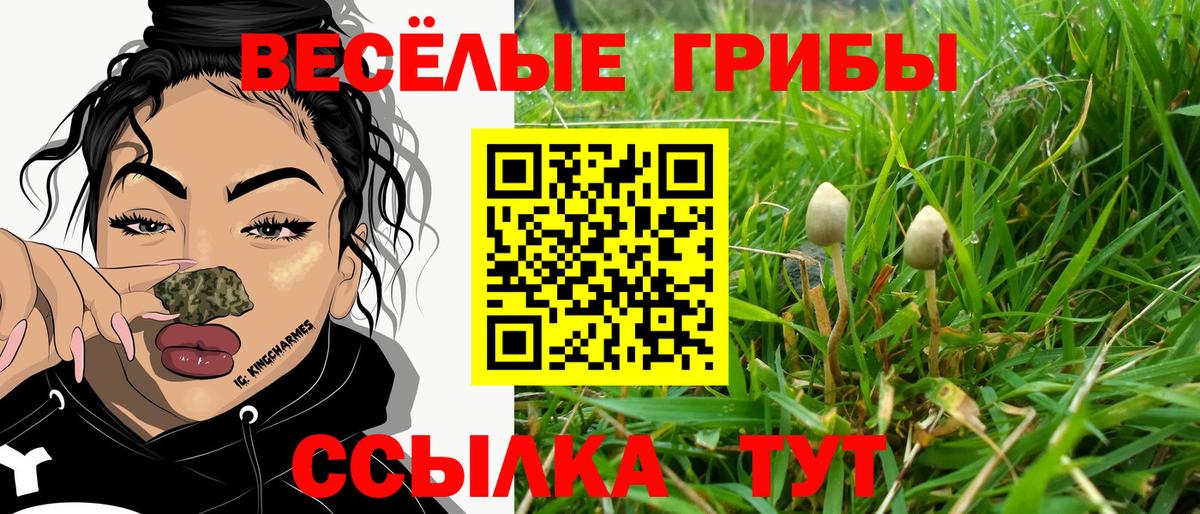 Псилоцибиновые грибы Psilocybe  Вход с VPN  Лысьва  Псилоцибиновые грибы Cubensis 